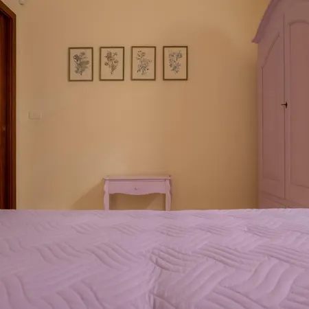 Ulivo Centenario سيلفا دو فاسانو