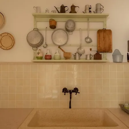 Ulivo Centenario Selva Di Fasano