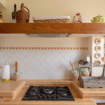 Ulivo Centenario Selva Di Fasano