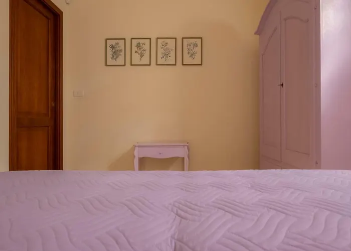 Ulivo Centenario سيلفا دو فاسانو