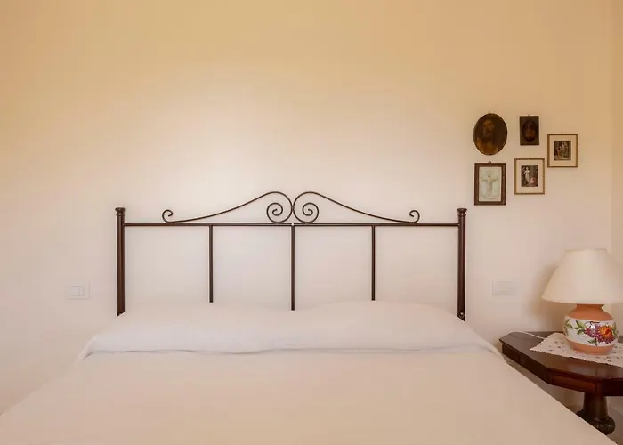 Ulivo Centenario 3* Selva Di Fasano