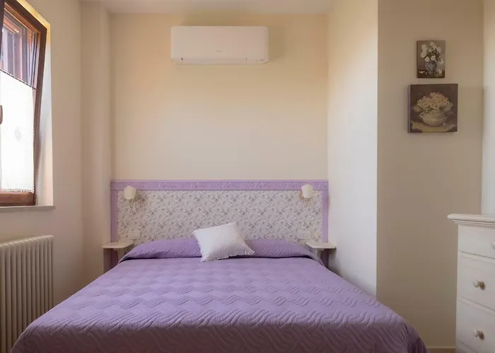 Ulivo Centenario 3* Selva di Fasano