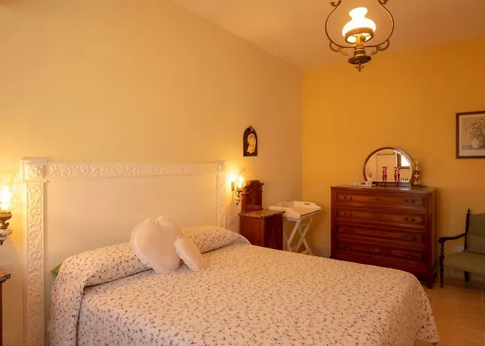 Ulivo Centenario 3* Selva di Fasano